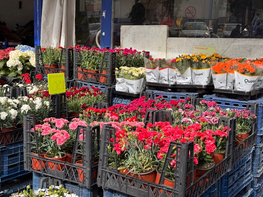 A display of assorted potted flowering plants outside a florist shop, including pink, red, white, orange, and yellow flowers arranged in black plastic crates. Some plants are wrapped in white paper wi